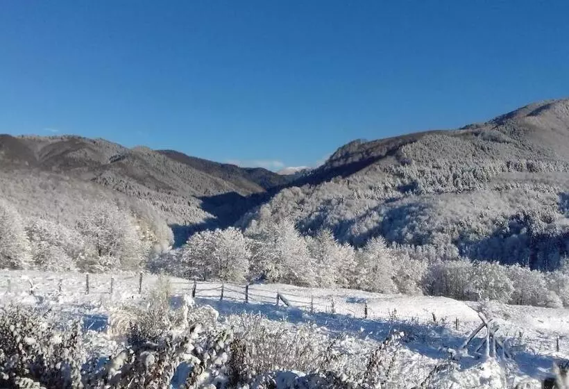 پانسیون Valea Doamnei