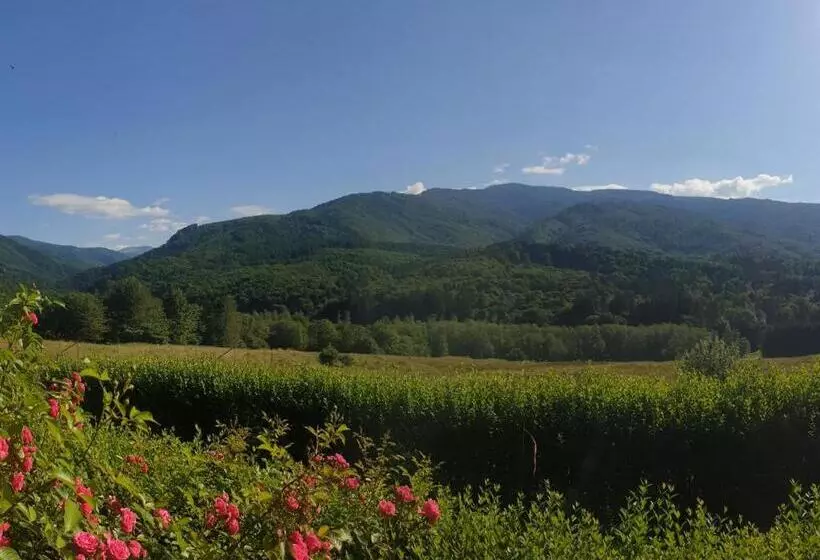 پانسیون Valea Doamnei