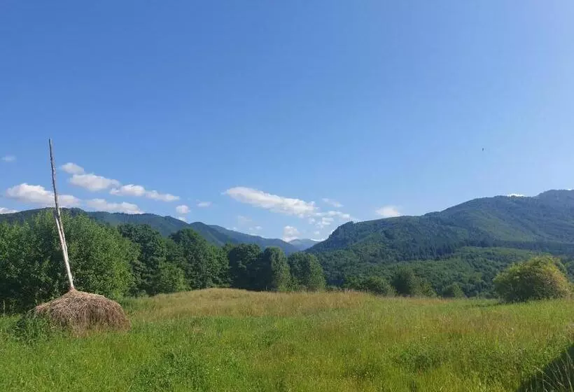 پانسیون Valea Doamnei