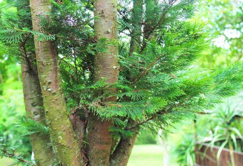 Sakabula Country Lodge