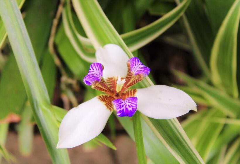 Sakabula Country Lodge