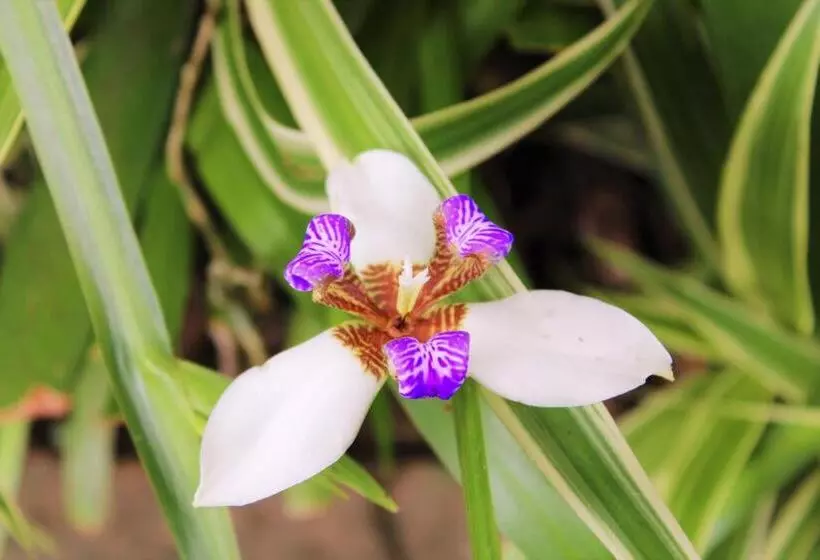 Sakabula Country Lodge