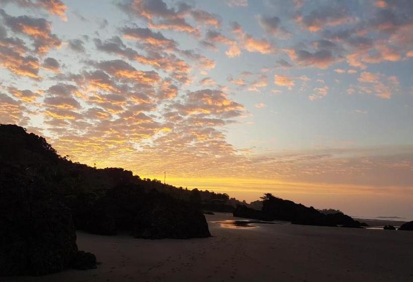 هاستل Posada Villamaga