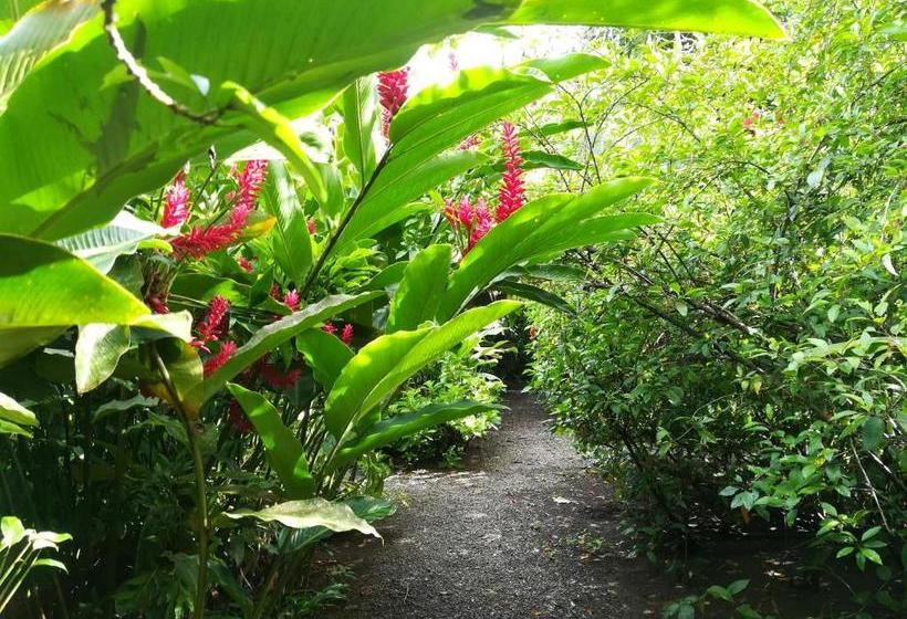 هاستل Posada Villamaga