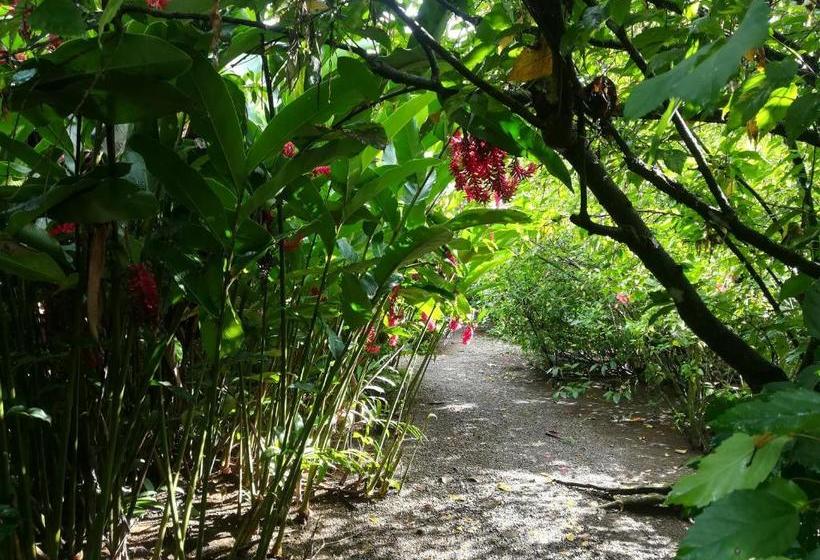 هاستل Posada Villamaga