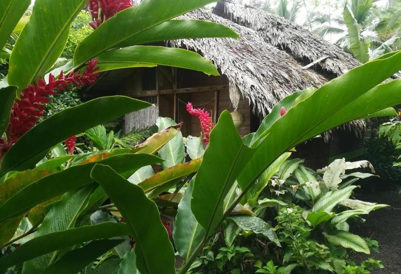 هاستل Posada Villamaga