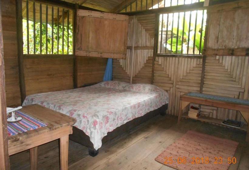 هاستل Posada Villamaga