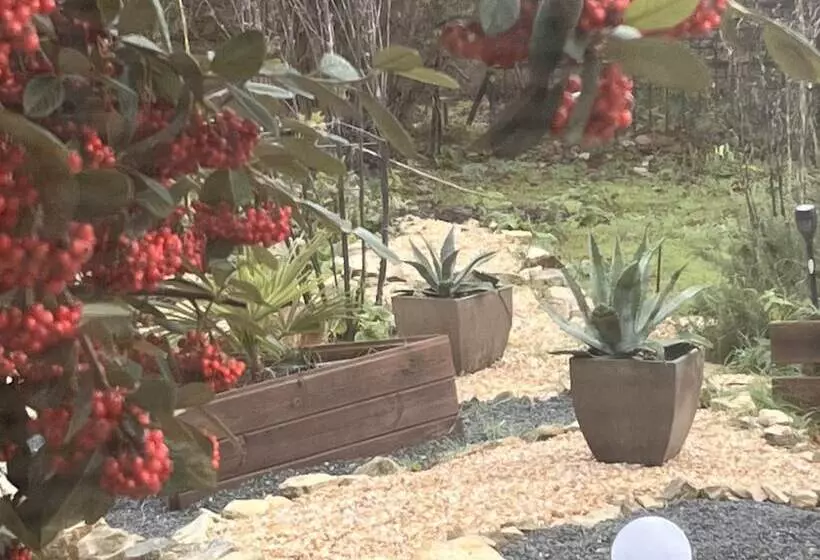 ベッドアンドブレックファースト Campagn Art