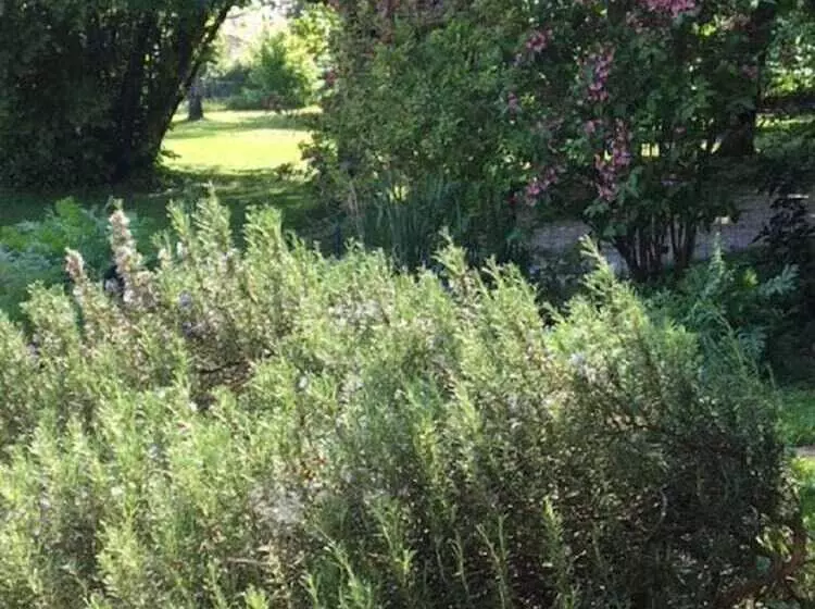 ベッドアンドブレックファースト Campagn Art