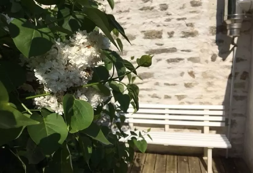 ベッドアンドブレックファースト Campagn Art