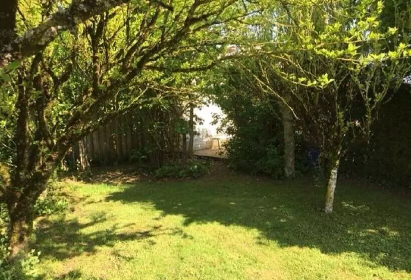 ベッドアンドブレックファースト Campagn Art