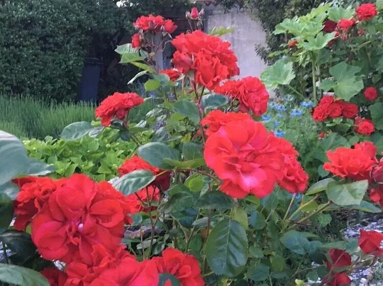 ベッドアンドブレックファースト Campagn Art