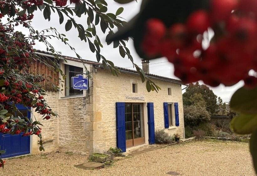 Bed and Breakfast Campagn Art