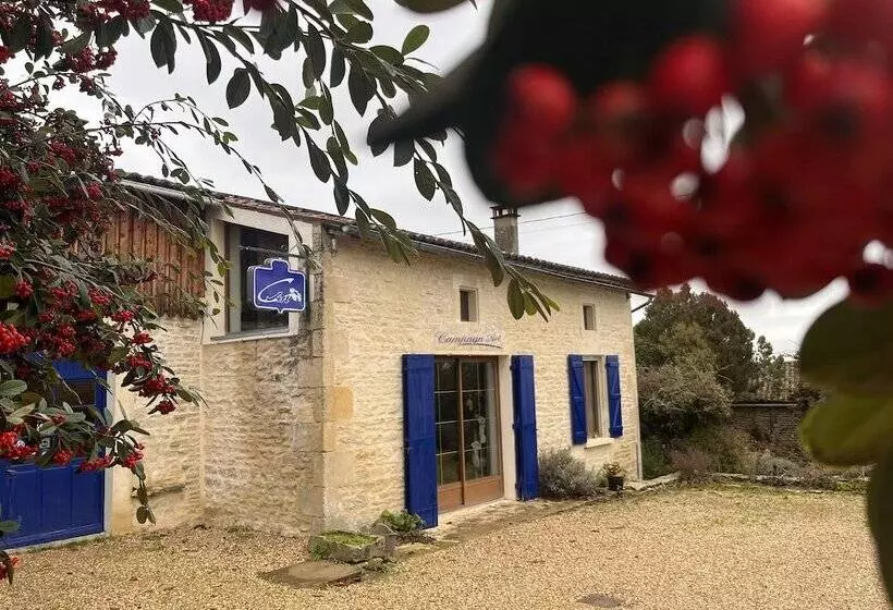 ベッドアンドブレックファースト Campagn Art