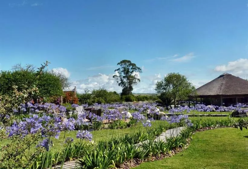 Aamiaismajoitus (B&B) Casa Anna