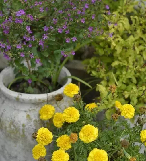 Aamiaismajoitus (B&B) Casa Anna