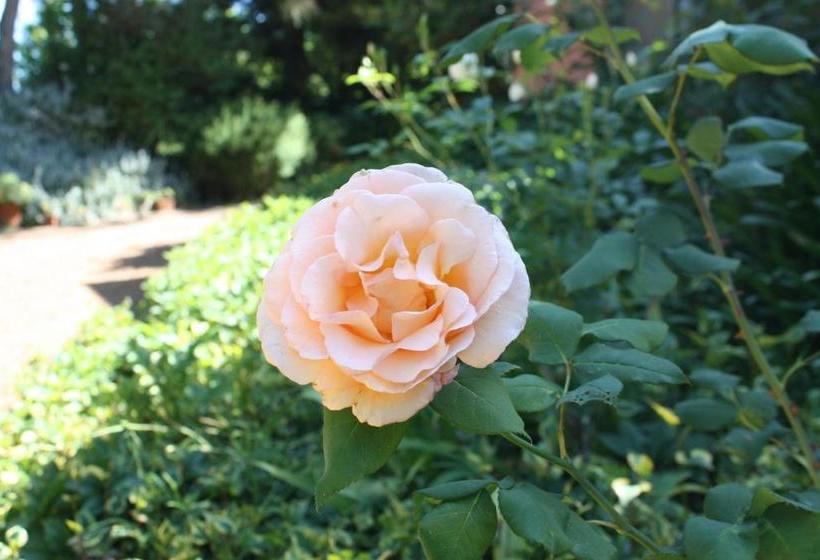 Bed and Breakfast Mandalay House