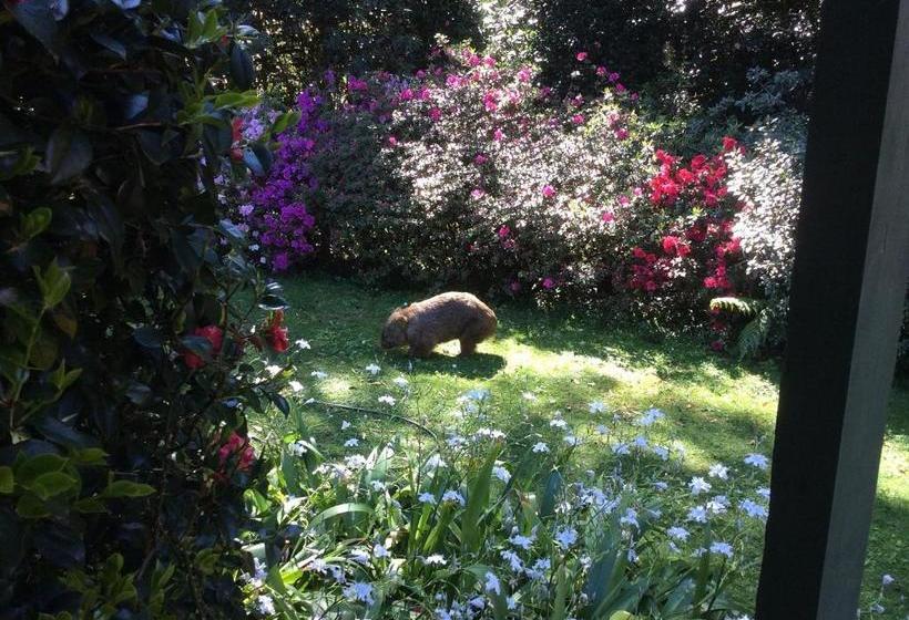 Bed and Breakfast Mandalay House