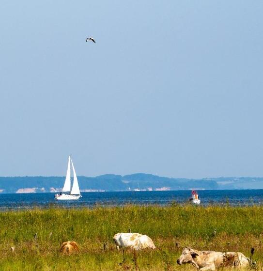 민박 Mein Ostseeplätzchen