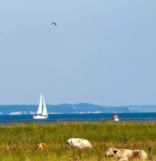 ベッドアンドブレックファースト Mein Ostseeplätzchen