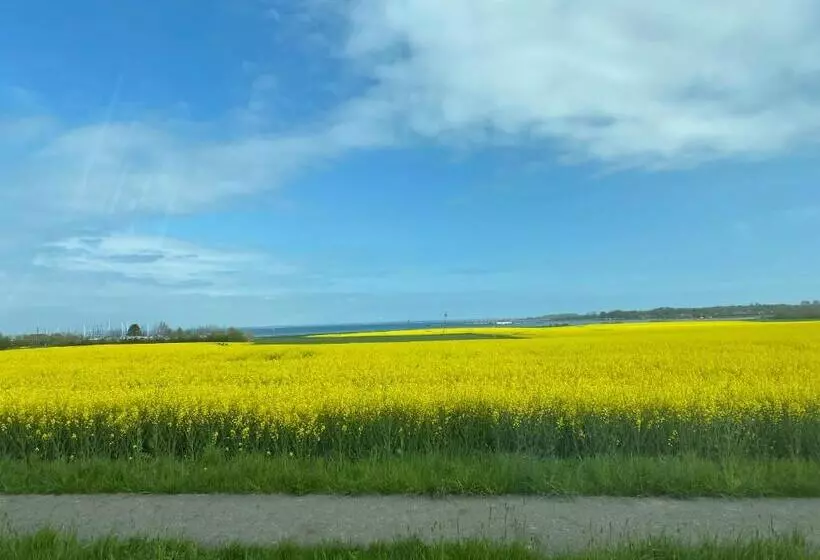 ベッドアンドブレックファースト Mein Ostseeplätzchen