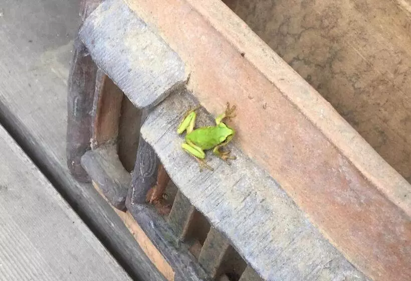 Aamiaismajoitus (B&B) Morino Garden Mashiko