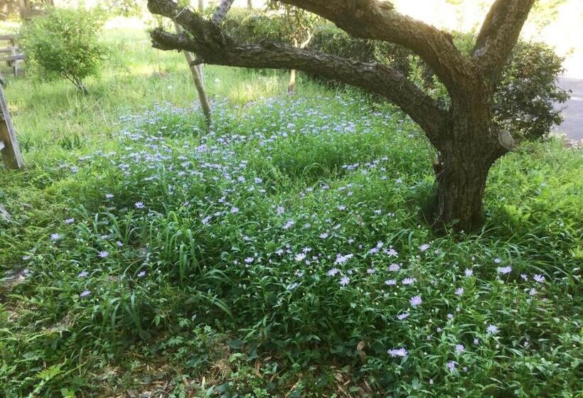 민박 Morino Garden Mashiko