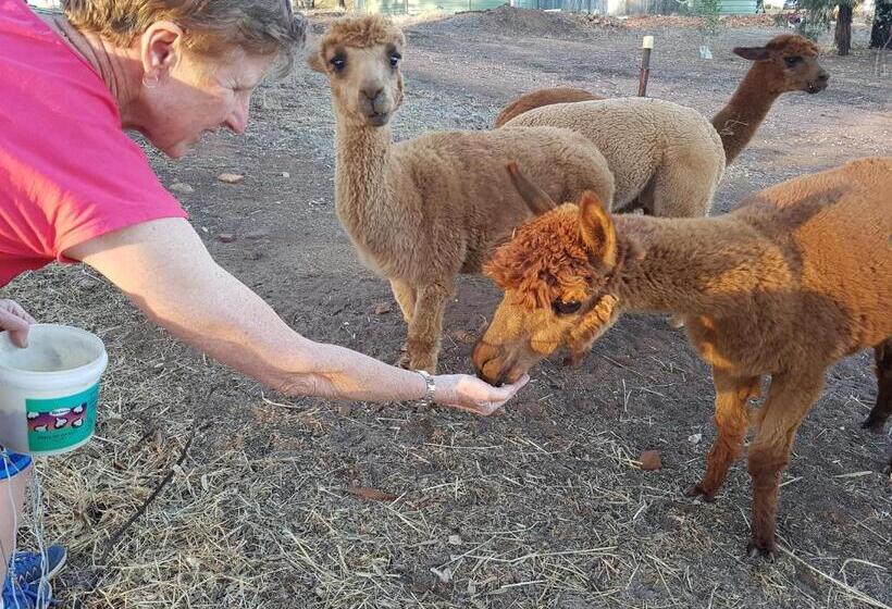 Bed and Breakfast Pecan Hill Bnb