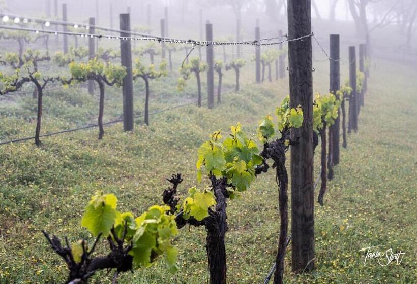 Bed and Breakfast Pecan Hill Bnb