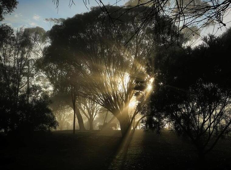 Bed and Breakfast Pecan Hill Bnb