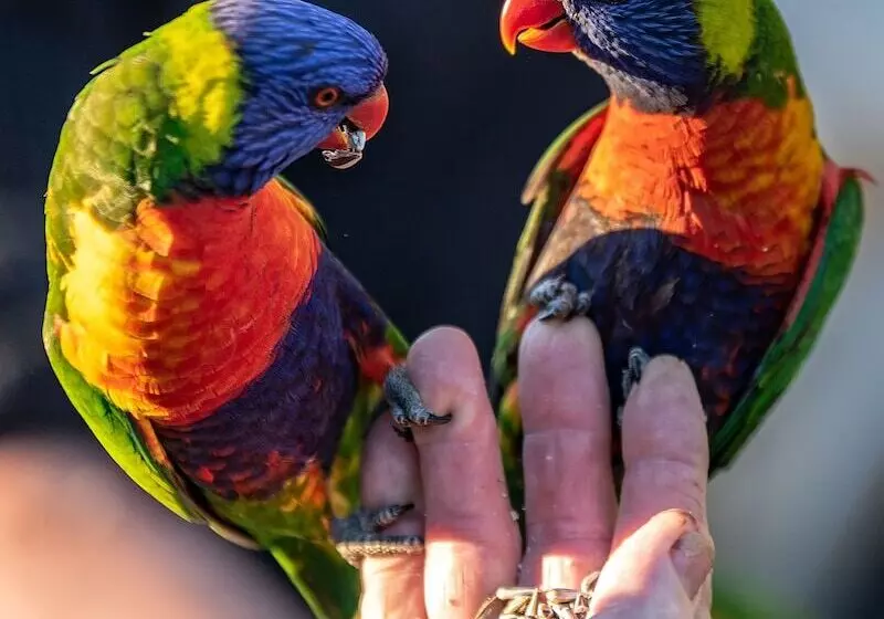 Esk Caravan Park & Rail Trail Motel
