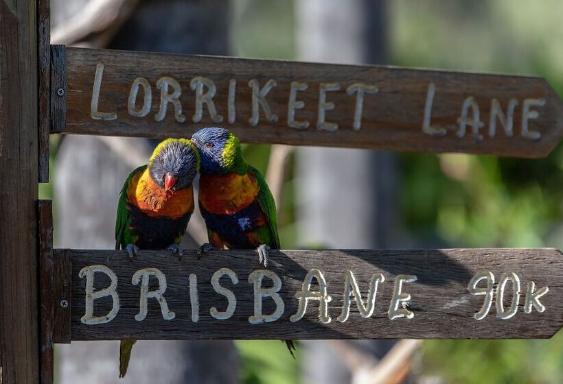 Esk Caravan Park & Rail Trail Motel