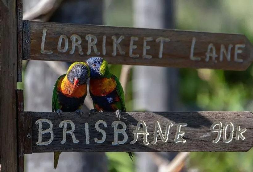 Esk Caravan Park & Rail Trail Motel