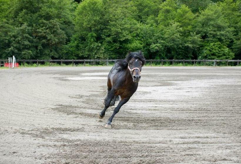 فندق Agriturismo Carovane