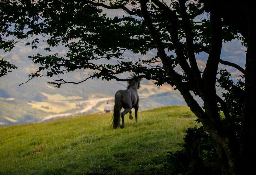 فندق Agriturismo Carovane