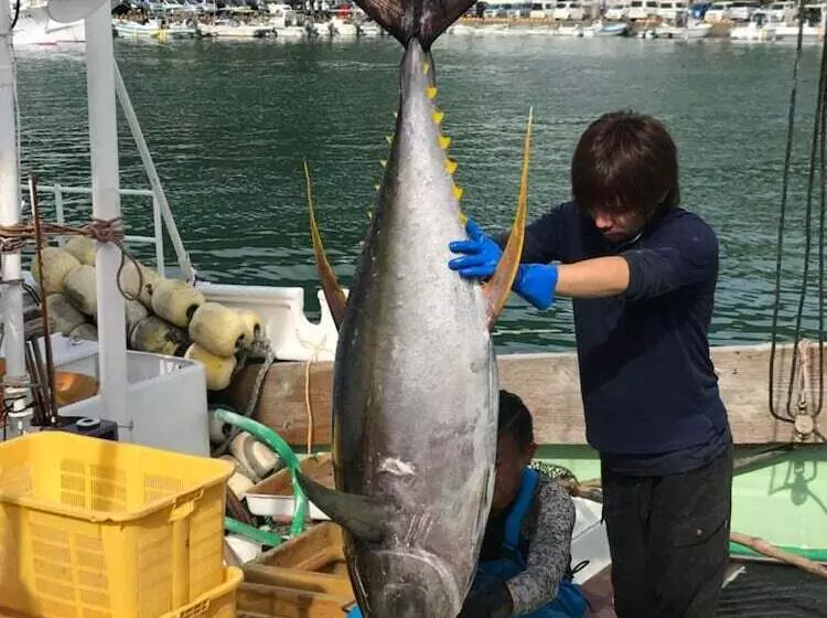 Hotelli Guesthouse Minami