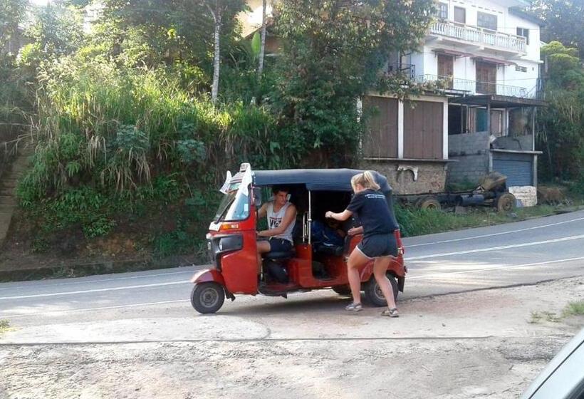 Pensão Dealings Freedom Rest