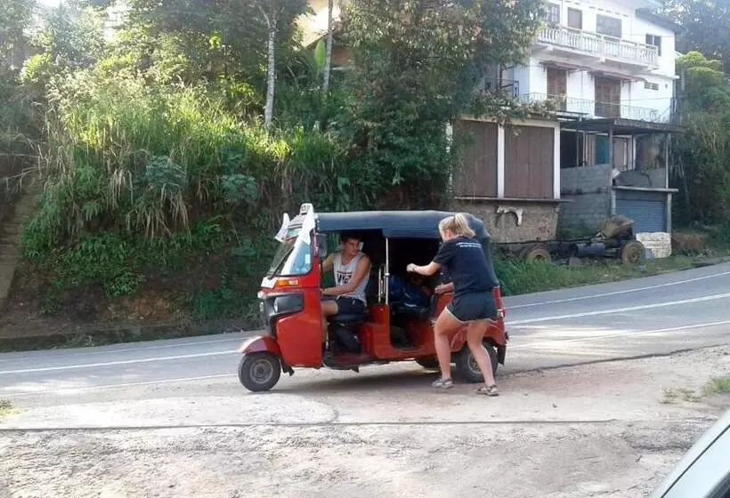 Majatalo Dealings Freedom Rest