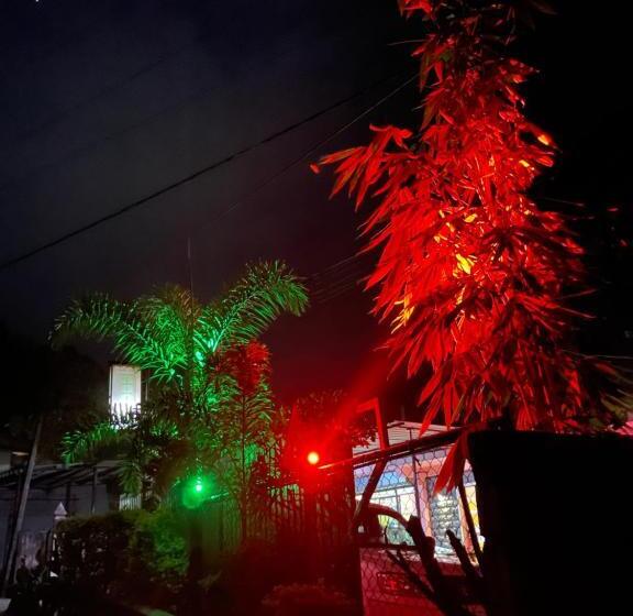 Pensão Dealings Freedom Rest