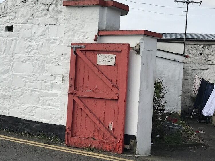 פנסיון Pier 36