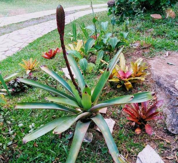 بنسيون Pousada Sangha Pyara