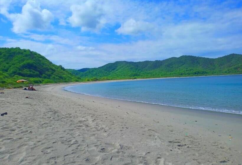 Szálló Hospedaje Algarrobo Machalilla