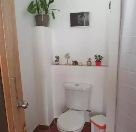 Retkeilymaja Hospedaje Algarrobo Machalilla