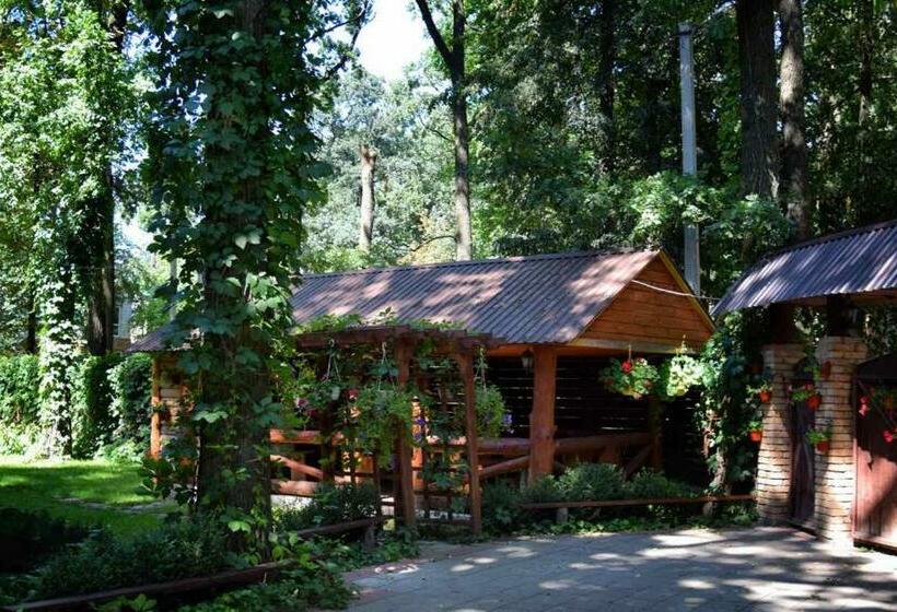 Общежитие Veniki Club