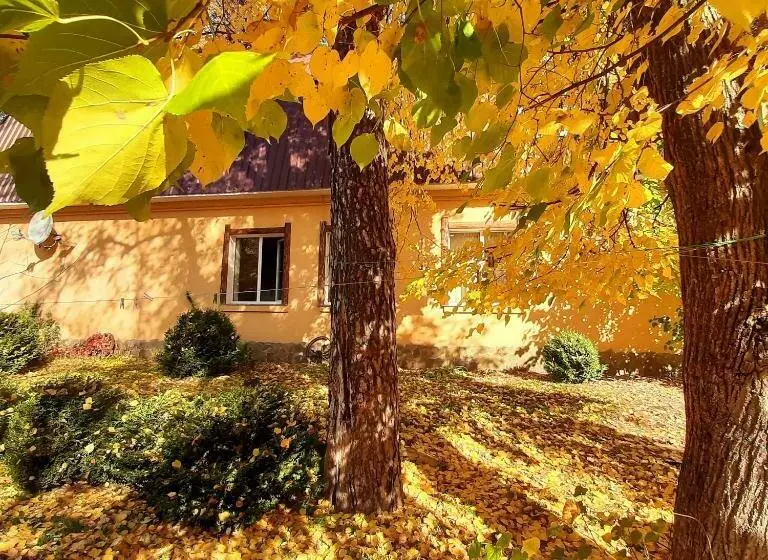 ユースホステル Veniki Club