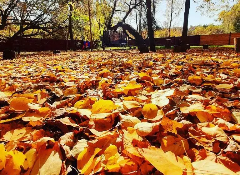 ユースホステル Veniki Club