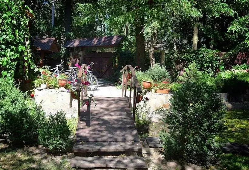 ユースホステル Veniki Club