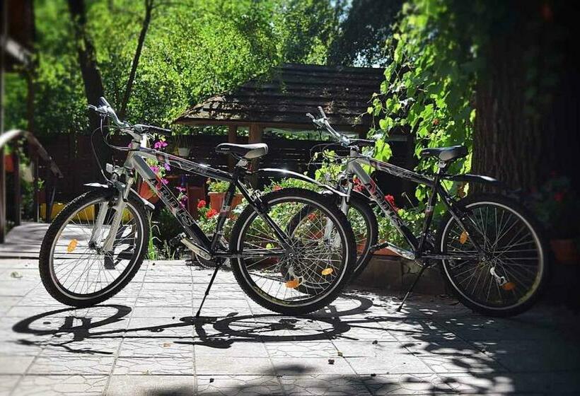 Общежитие Veniki Club