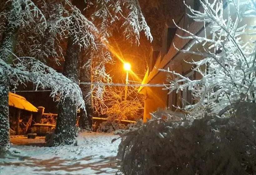 ユースホステル Veniki Club