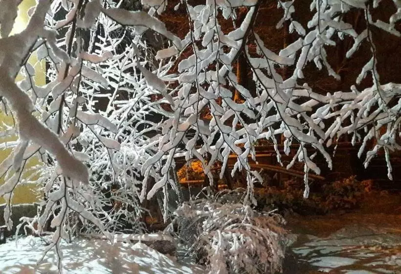 ユースホステル Veniki Club